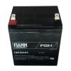Akumulátor Fiamm 12FGH23 12V 5Ah F2